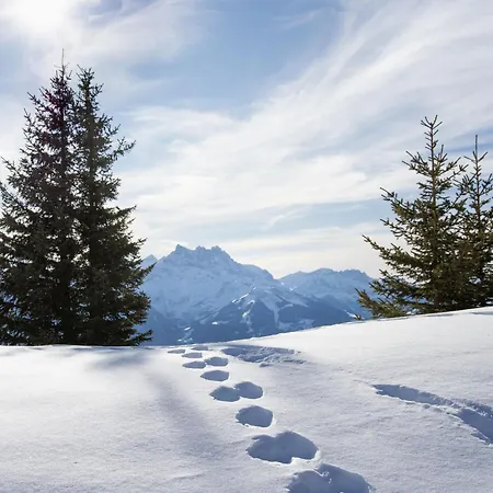 Montagnards 17 By Interhome 公寓 *