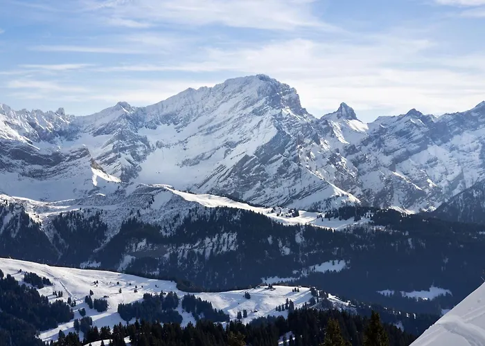 Montagnards 17 By Interhome Villars-sur-Ollon