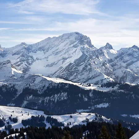 Montagnards 17 By Interhome Villars-sur-Ollon