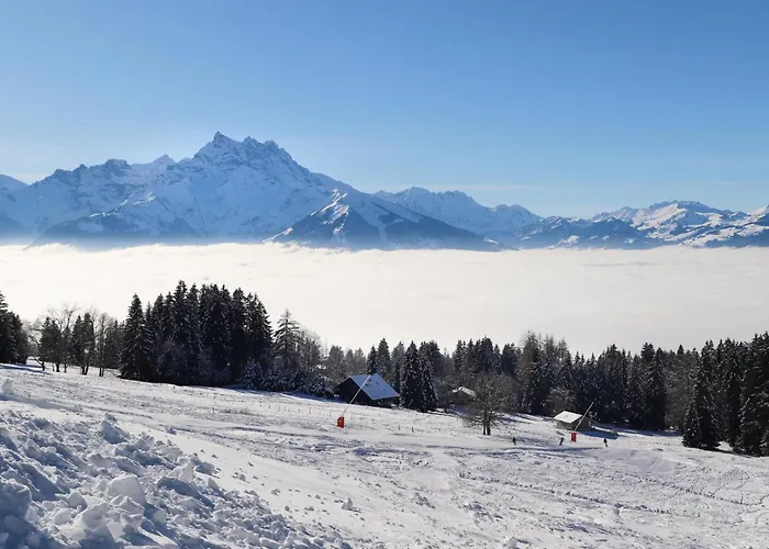 Montagnards 17 By Interhome Villars-sur-Ollon