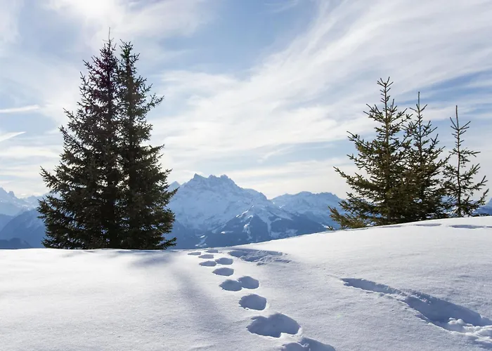 Montagnards 17 By Interhome Appartamento *